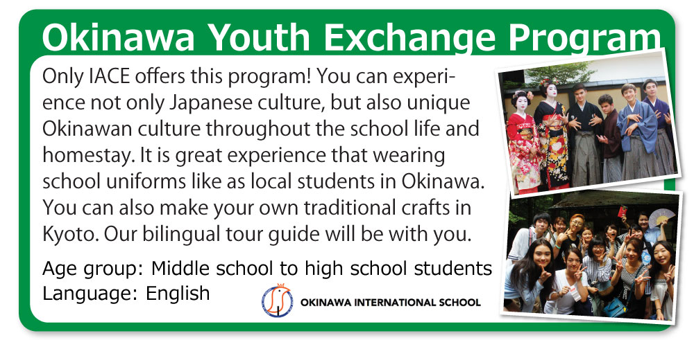 Okinawa Youth Exchange Program